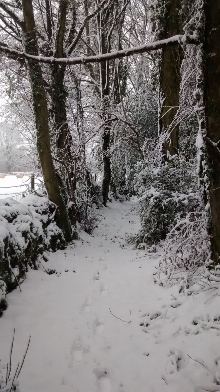 Access Offas Dyke walk in a winter wonderland holiday walk